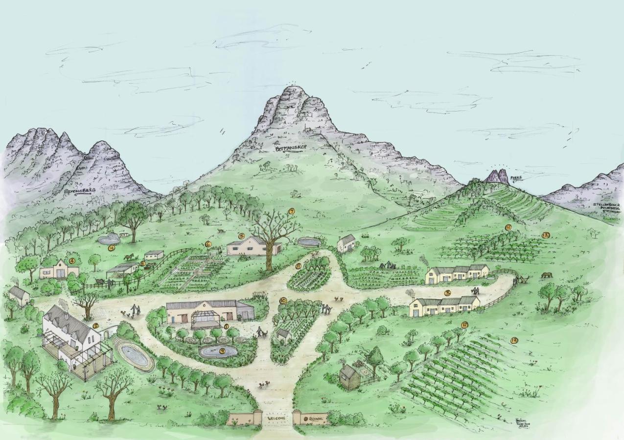 Rozendal Stay สเตลเลนบอช ภายนอก รูปภาพ